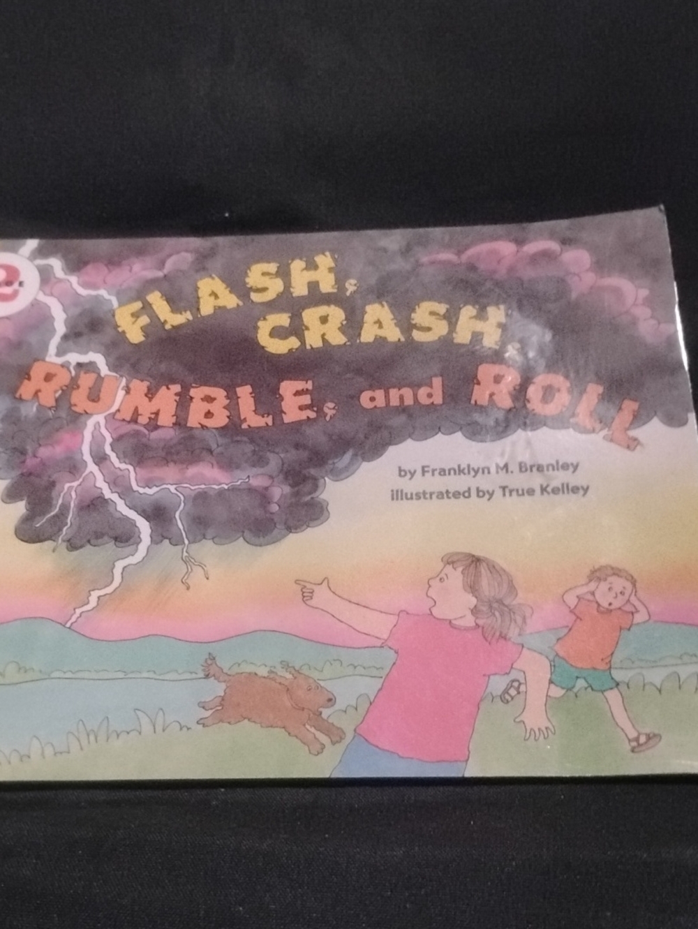 Flash, Crash, Rumble, and Roll - Kids Picture Book (Pink Cover)